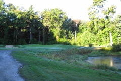 Scenery1