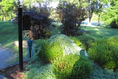 Scenery28
